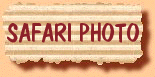 Circuit Safari Photo